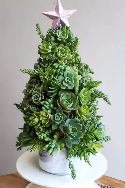 Diy Succulent Christmas Decorations Succulents Network 7361