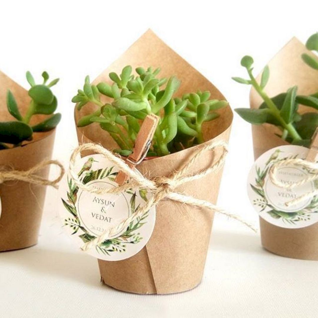 The Best Succulent Wedding Favors (With Pictures