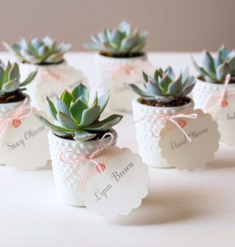 The Best Succulent Wedding Favors (With Pictures)- Succulents Network