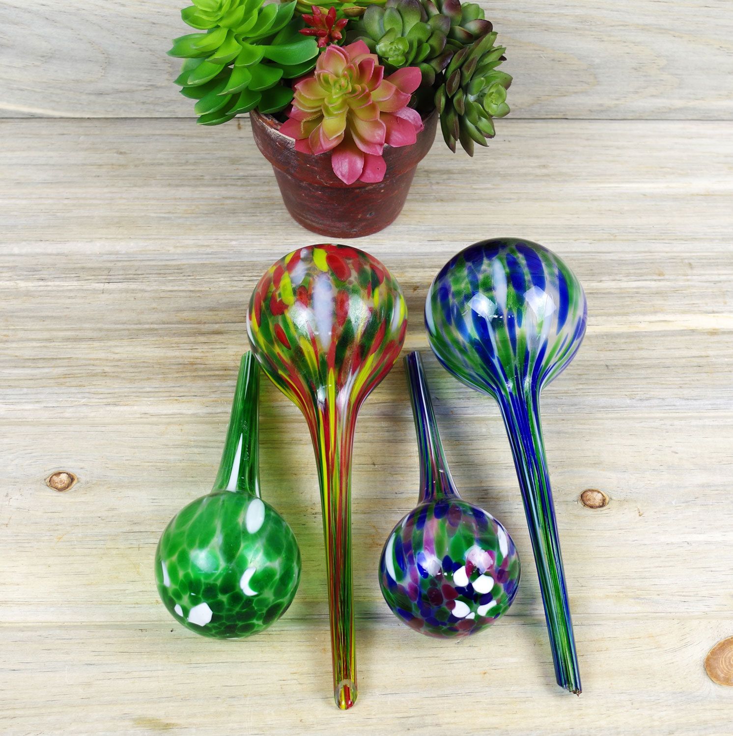 How Do Watering Globes Work Succulents Network