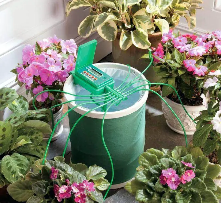 The Best Indoor Plant Watering System