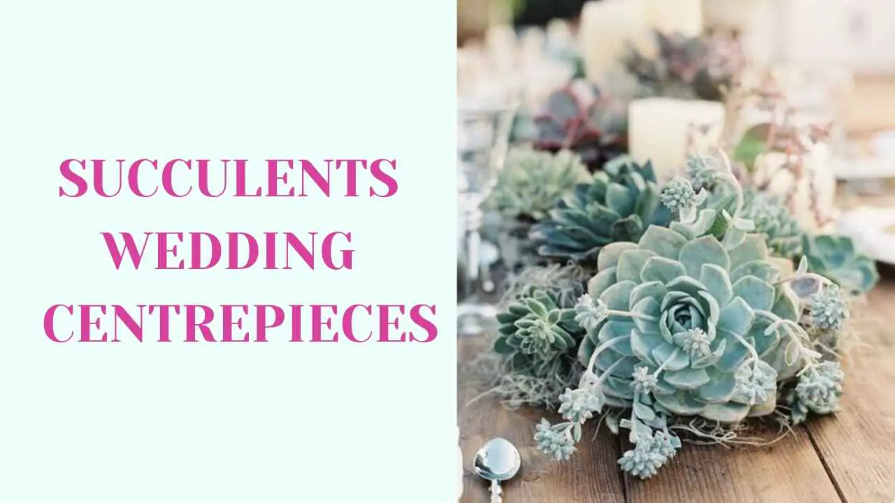 Wedding Centrepieces Succulents