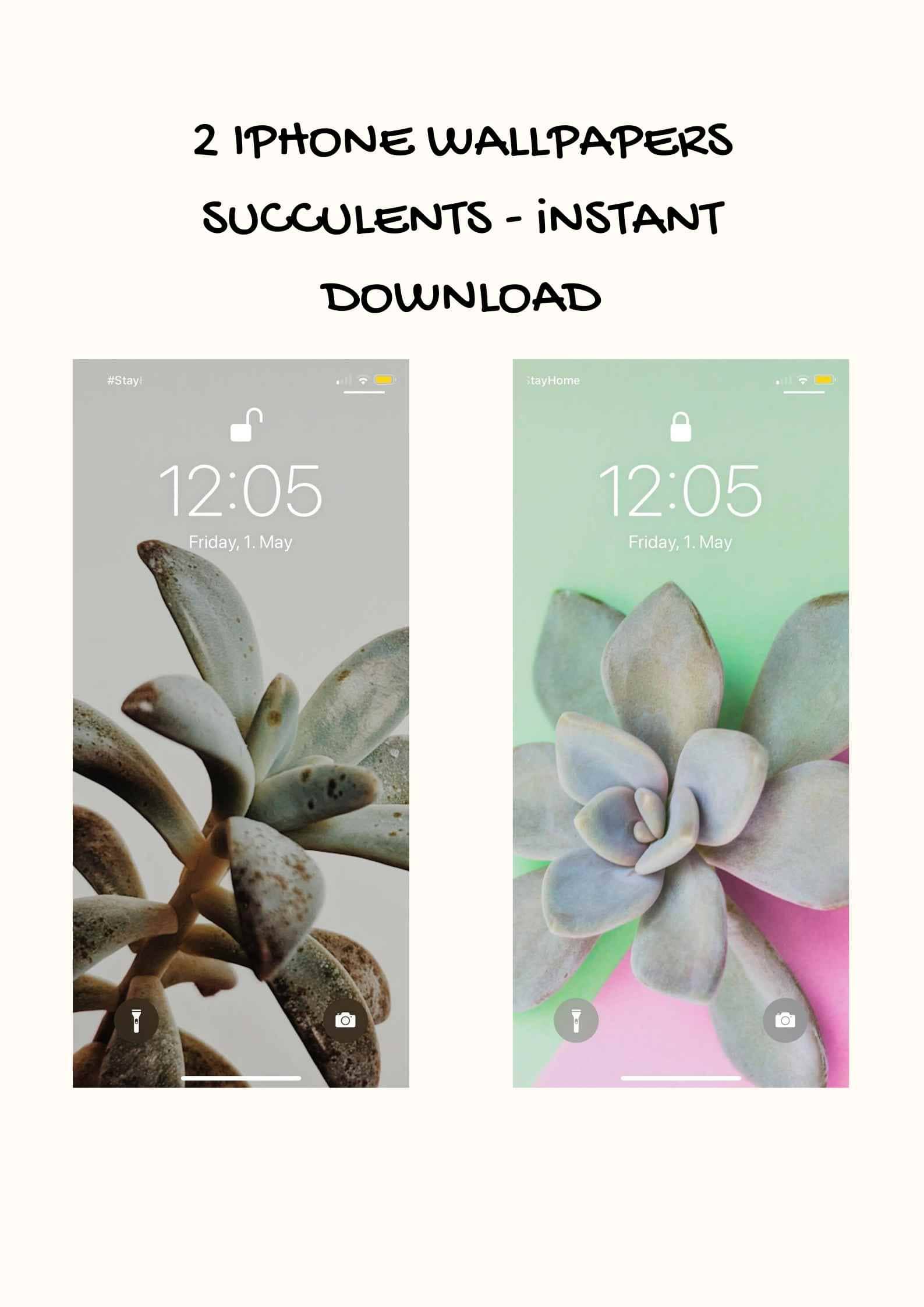 Succulent Wallpaper