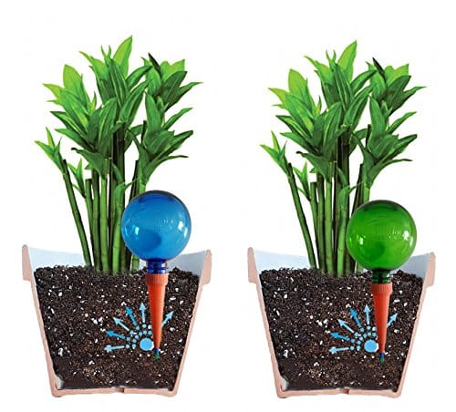 The Best Indoor Plant Watering System