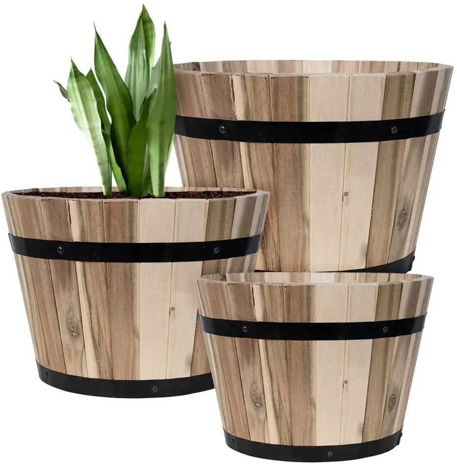 How To Pick The Best Plant Pot