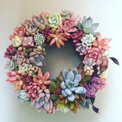 How to Make a Living Succulent Wreath - Succulents Network