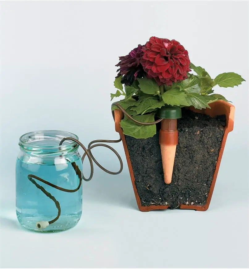 The Best Indoor Plant Watering System
