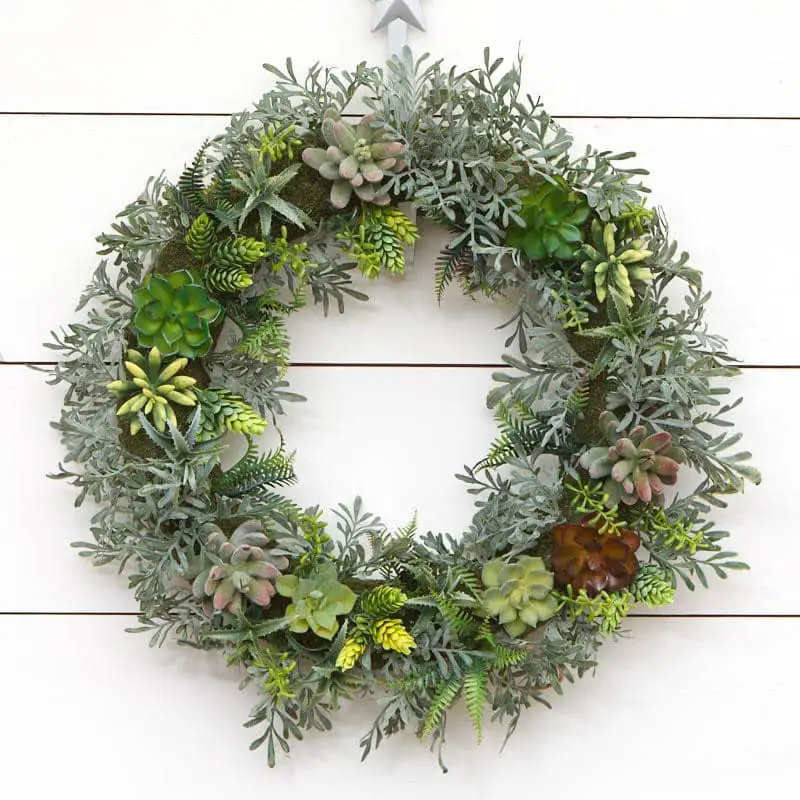 How to Make a Living Succulent Wreath