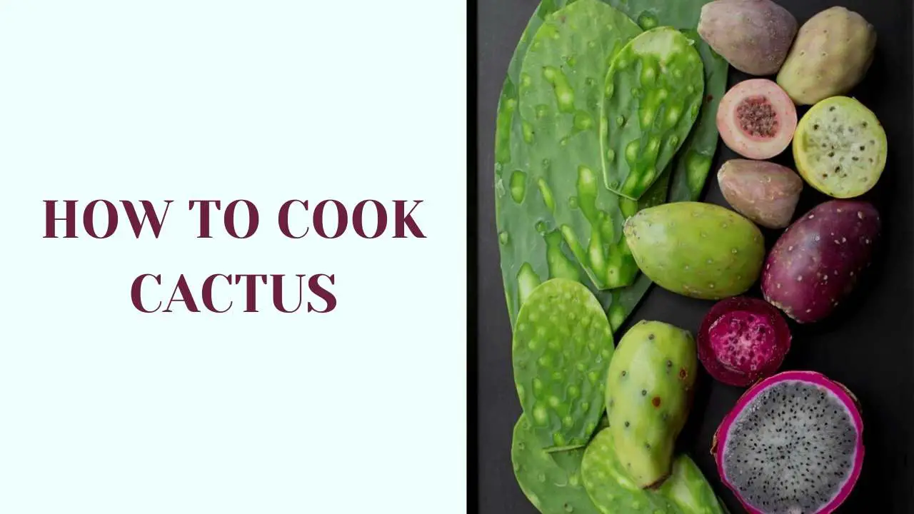 How-to-Cook-Cactus