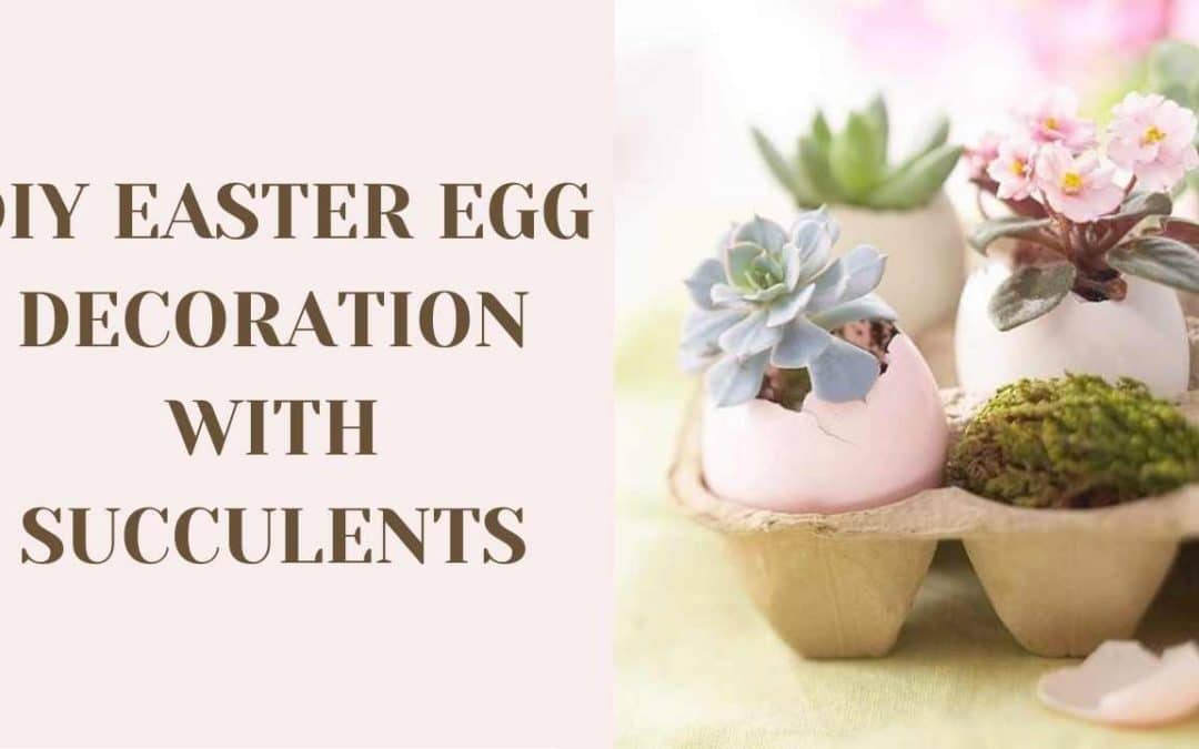 DIY Easter Egg Decoration with Succulents!