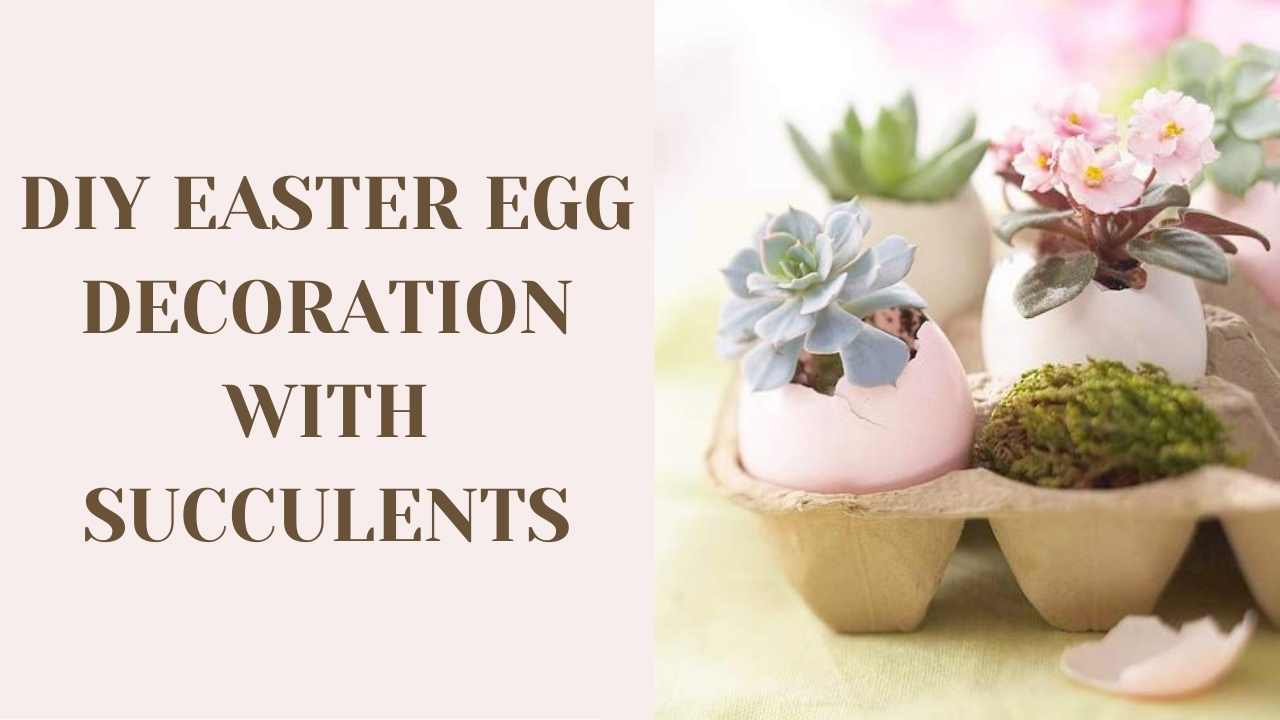 DIY Easter egg decoration with succulents