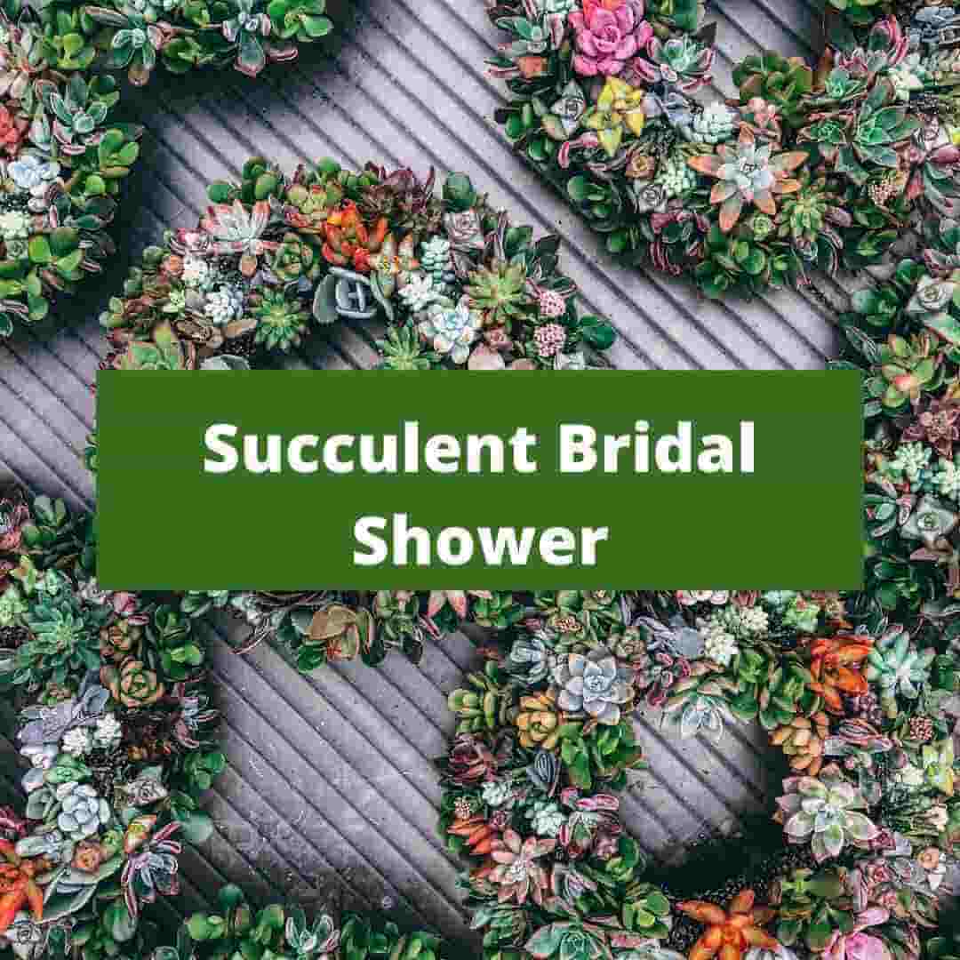 succulent bridal shower